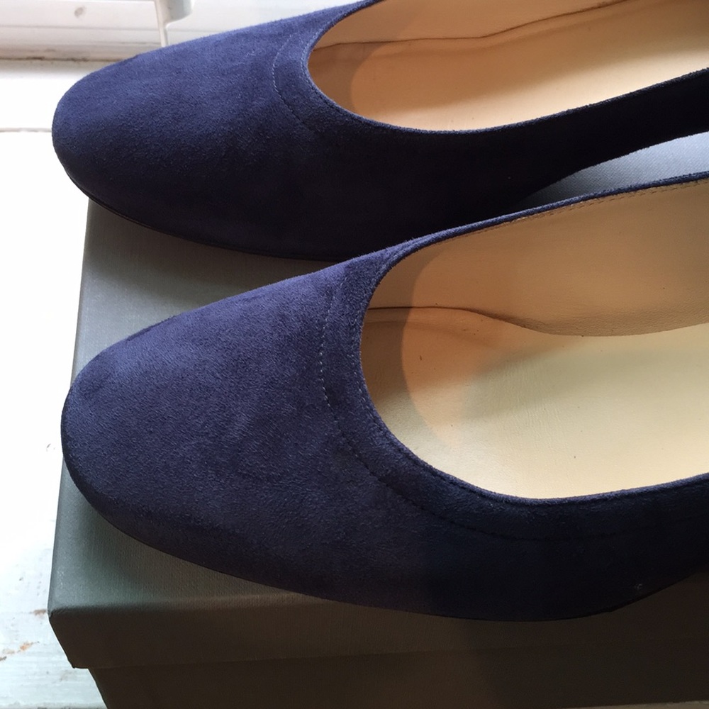 Everlane Day Heel Navy Suede